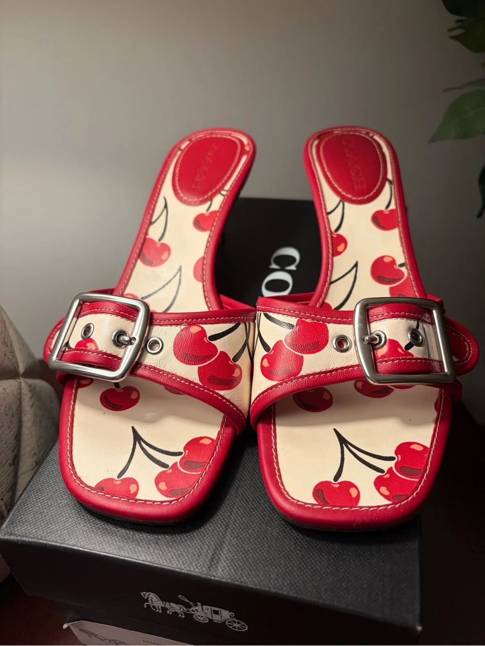 Coach Margot Cherry Print Leather Kitten Heel Sandal Size 9 - Picture 2 of 13